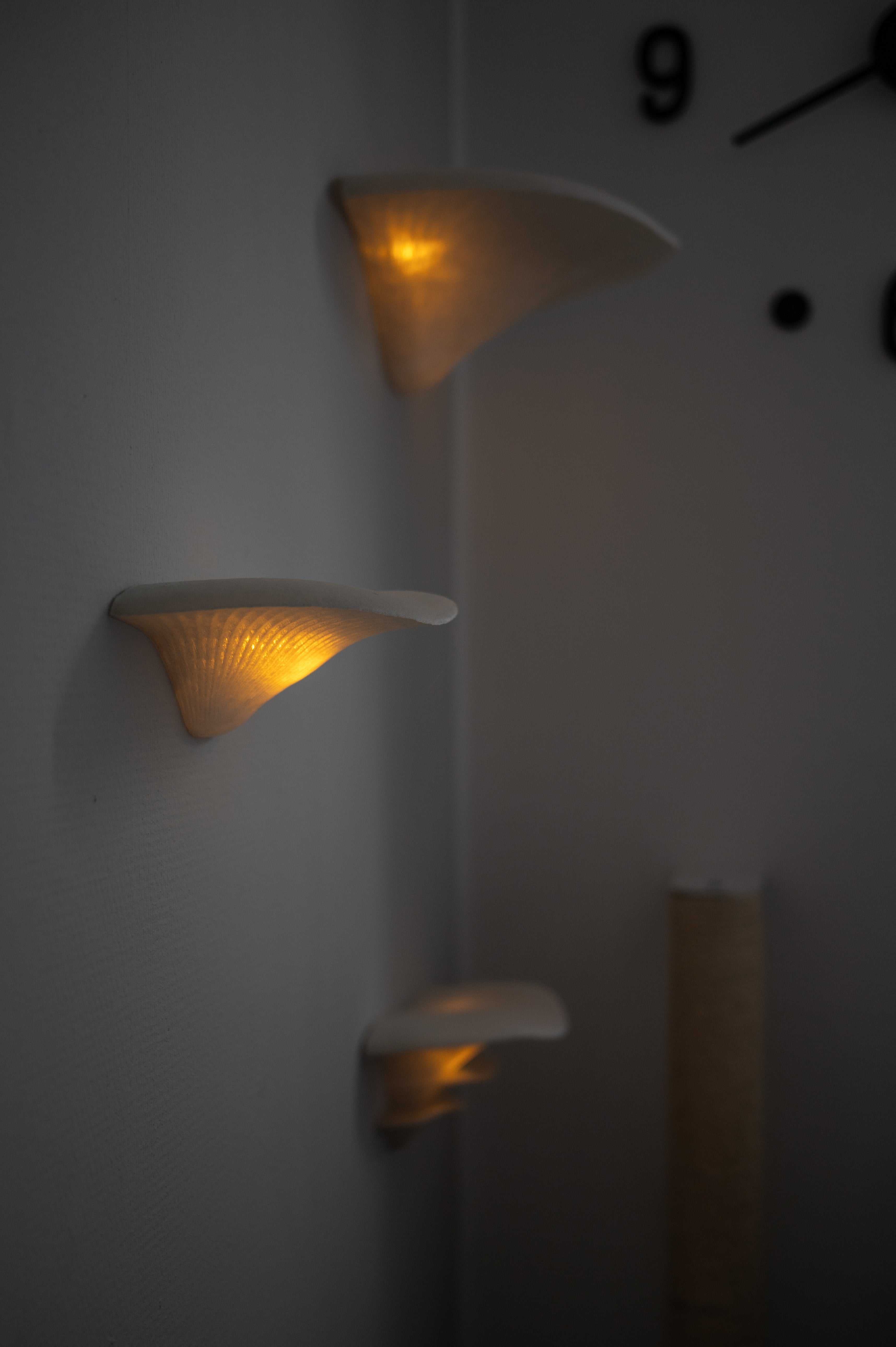 Shrooms® Wandskulpturen | 3er-Set